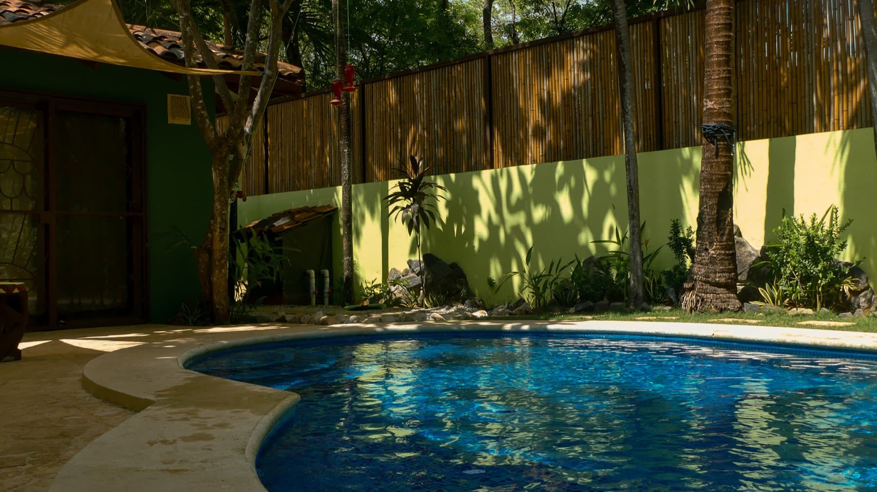 Piscina de forma orgánica rodeada de árboles, jardín tropical y un cerramiento de bambú.