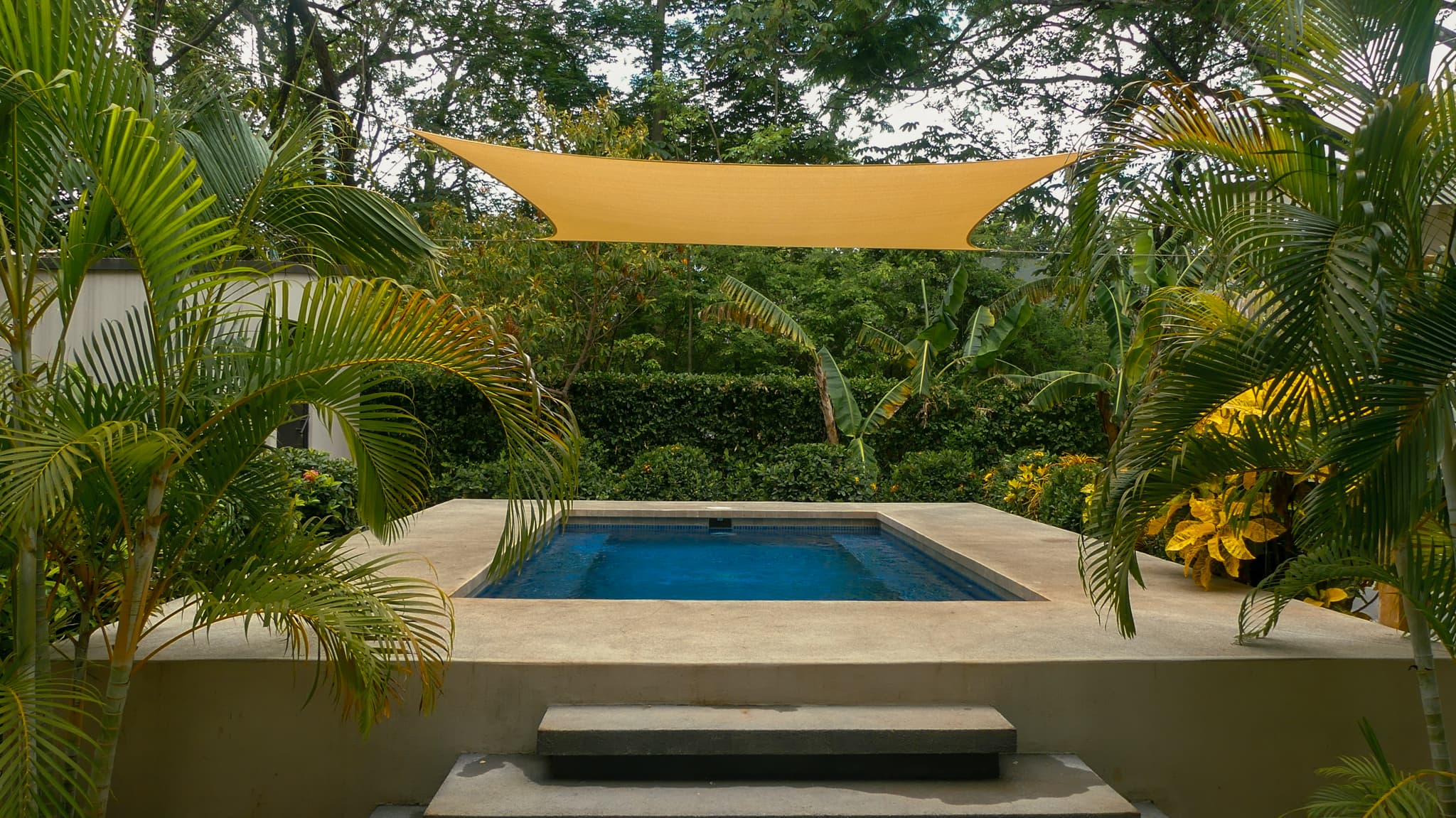 Piscina rectangular rodeada de palmeras y vegetación tropical bajo una vela de sombra.