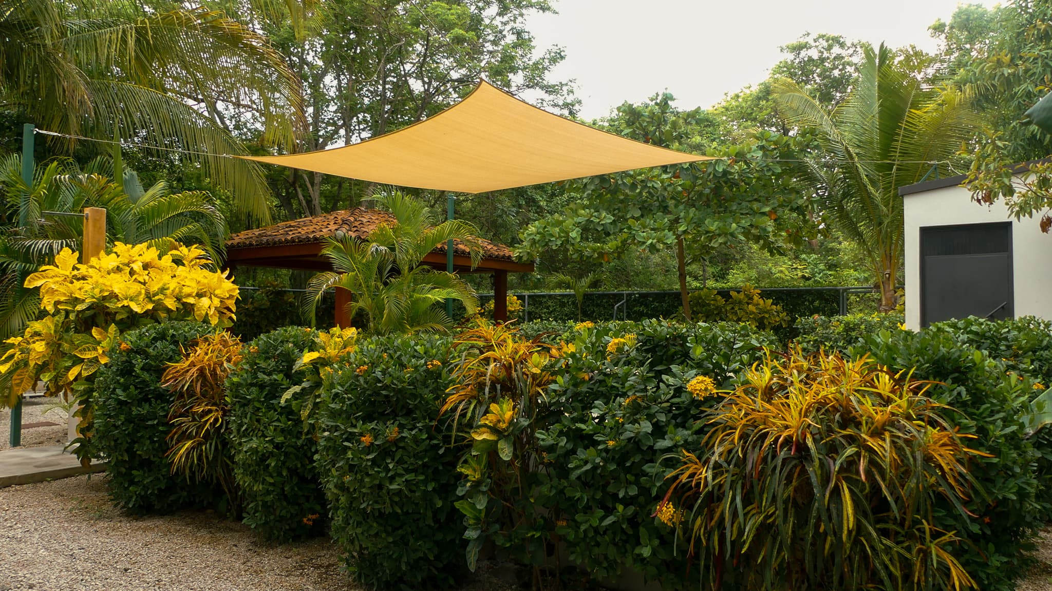 Jardín tropical abundante bajo una vela de sombra color arena en Casa Nick.