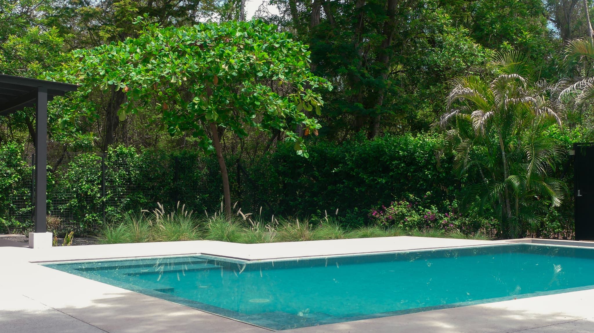Piscina de líneas rectas frente a un jardín contemporáneo con vegetación tropical.