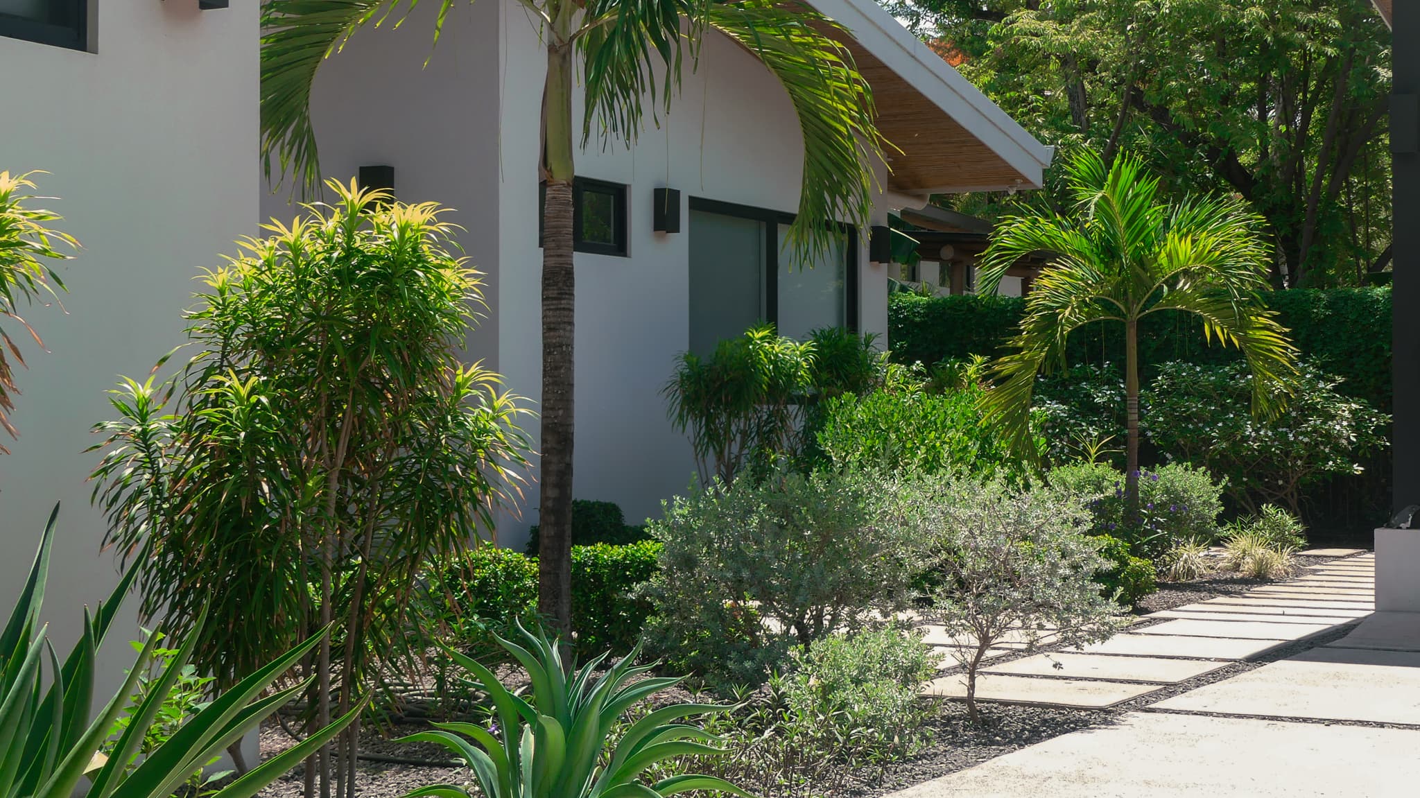 Jardín contemporáneo junto al acceso de la propiedad Cielo Azul.