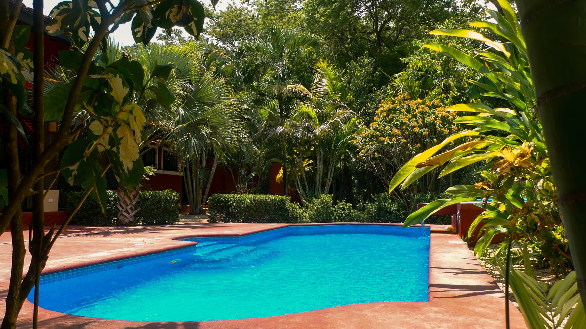 Piscina azul rodeada por un jardín tropical denso en Casa Mariposa.